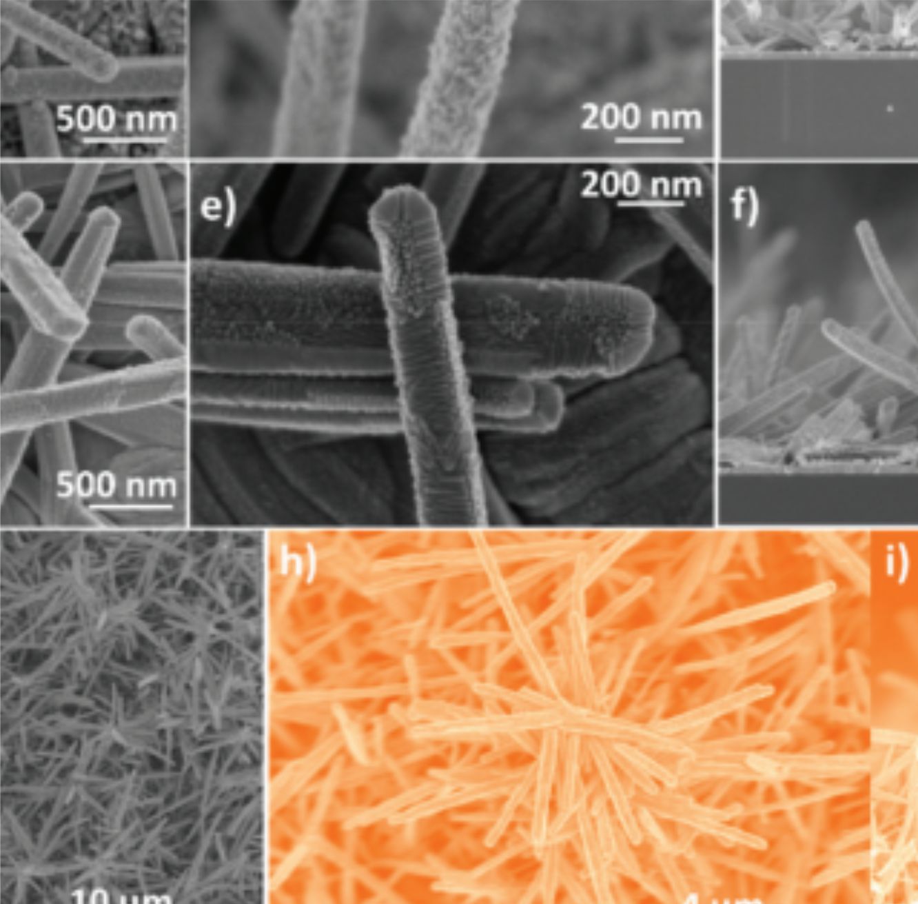 One-reactor vacuum and plasma synthesis of transparent conducting oxide nanotubes and nanotrees